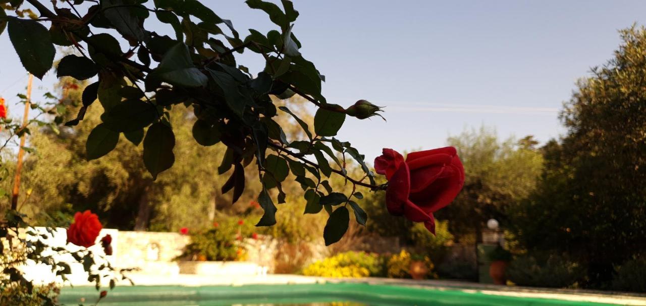 Livadi Studios With Pool Lákka Exterior foto
